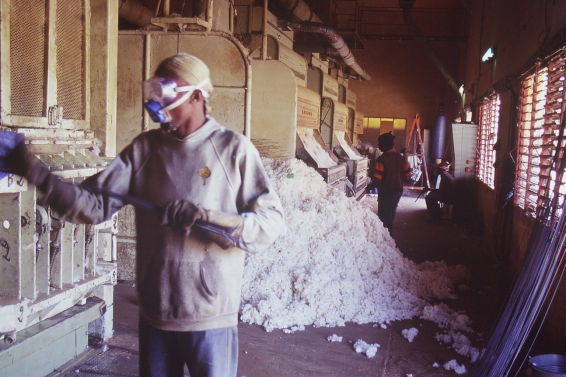 Cotton processing at CMDT