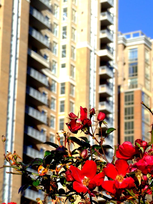 The Midtown Reston Condominiums, a residential building at the Reston Town Center