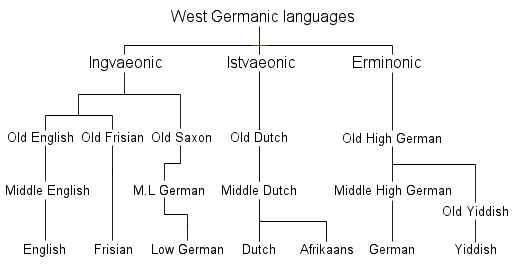 A simplified scheme of the linguistic relation among English, Dutch and German