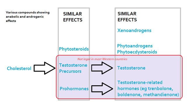 Various compounds with anabolic and androgenic effects, their relation with AAS