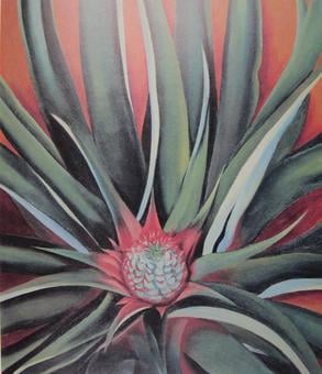 Pineapple Bud, 1939, oil on canvas