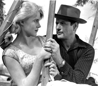 Wallach and Carroll Baker in the swing scene from Baby Doll