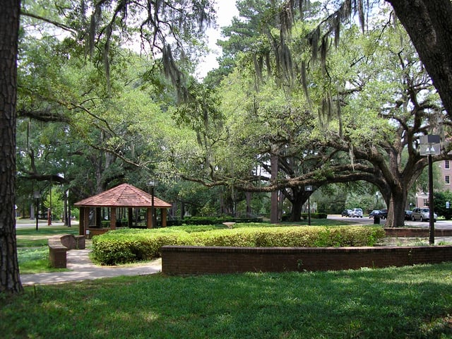 A green space near Landis and Gilchrist residence halls, on the main campus.