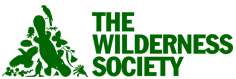 Former logo