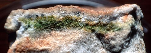 An Antarctic rock split apart to show an endolithic lifeform showing as a green layer a few millimeters thick