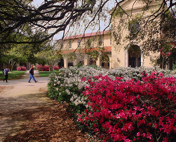 Foster Hall as seen from Troy H. Middleton Library