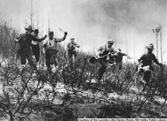 Firemen in action during the 1913 fire on Mt. Tamalpais.