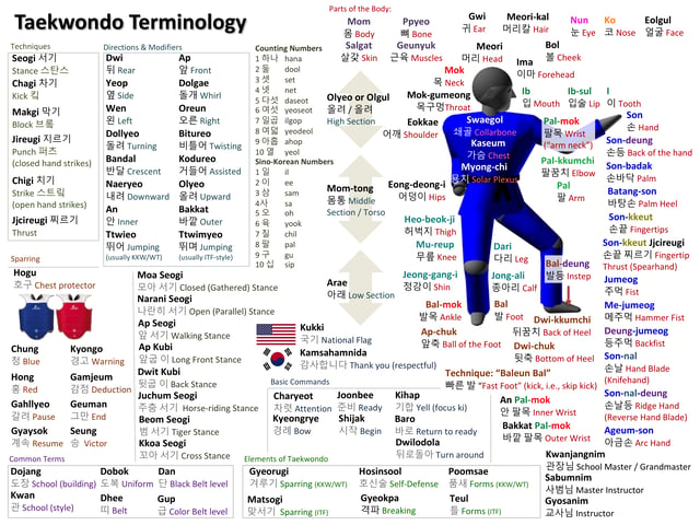 Some common Taekwondo terminology and parts of the body