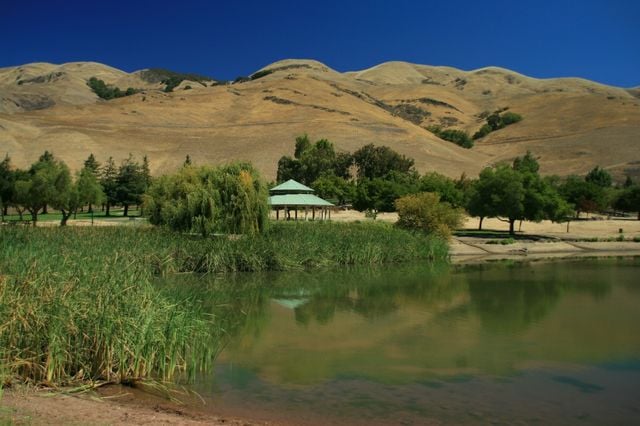 Ed R. Levin County Park is nestled in the foothills of Milpitas.