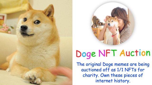 Doge NFT Auction