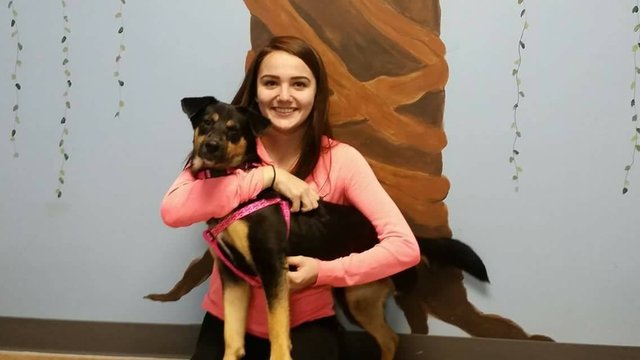 Alyssa Smith worked at a local animal shelter