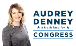 Audrey Denney for Congress campaign poster