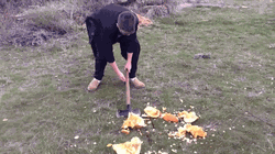 Smashing a pumpkin