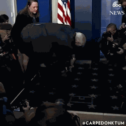 Carpe Donktum's video satirizing Jim Acosta's reintroduction into the White House press room