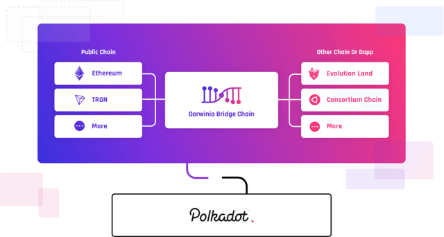 Darwinia Network