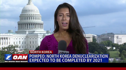 Gabrielle Cuccia reporting on One America News Network