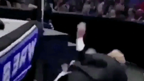 The gif where Trump takes down CNN.