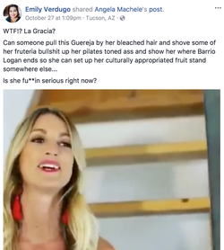 Facebook user expressing their disdain for Jenny Niezgoda's choice to open up a store in her neighborhood.