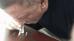 Chris Foerster Â â€‹snorting Cocaine â€‹