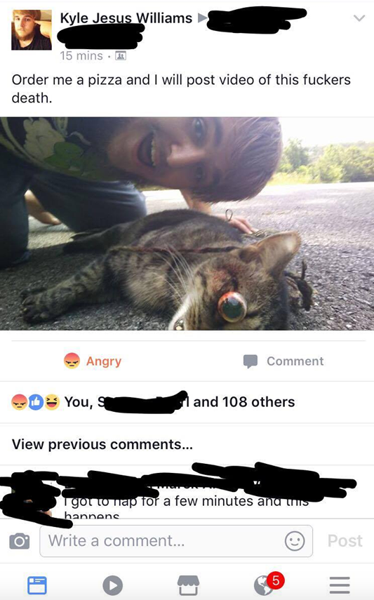 Graphic Content: Facebook post Williams made about the cat