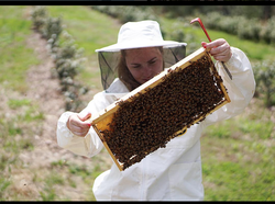 Leigh-Kathryn Bonner photo with Bees.