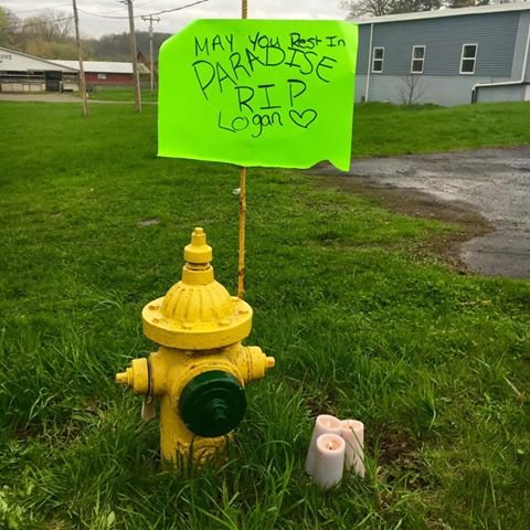 Memorial for Logan