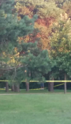 Scene of his suicide