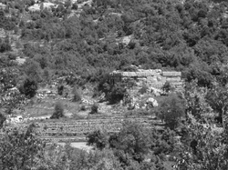 Fig. 151 from Aliquot - Aintoura (34): The sanctuary, north west veiw (2005).