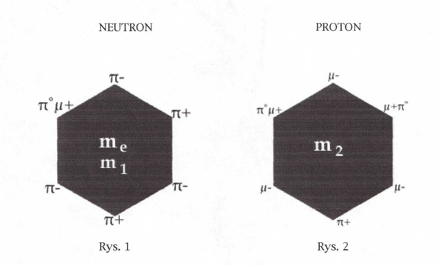 International Scientist: New Model of Neutron and Proton