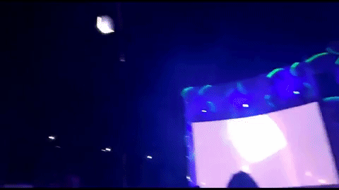 Momentos cuando se cae de la jaula.