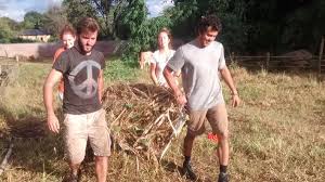 Volunteers helping around the farm