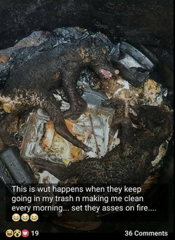 Tasha Escobar's social media post revealing the incineration of the raccoons