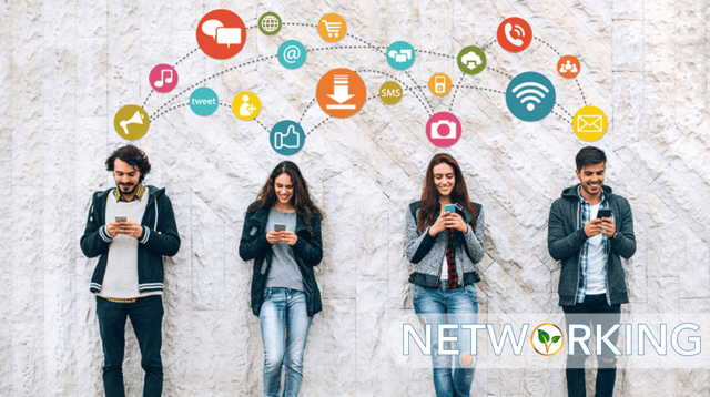 The social platform: Networking