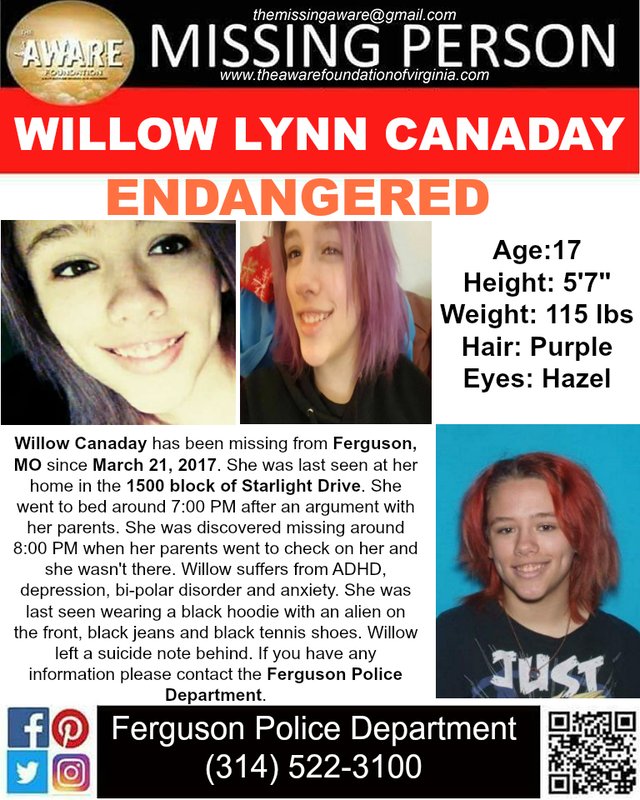 Missing Person Poster of Willow Canaday