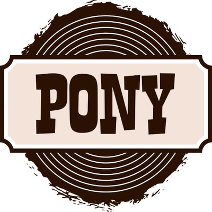 Pony (programming language)