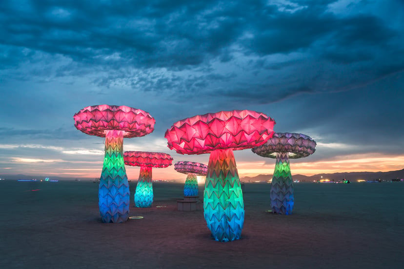 Burning Man Art
