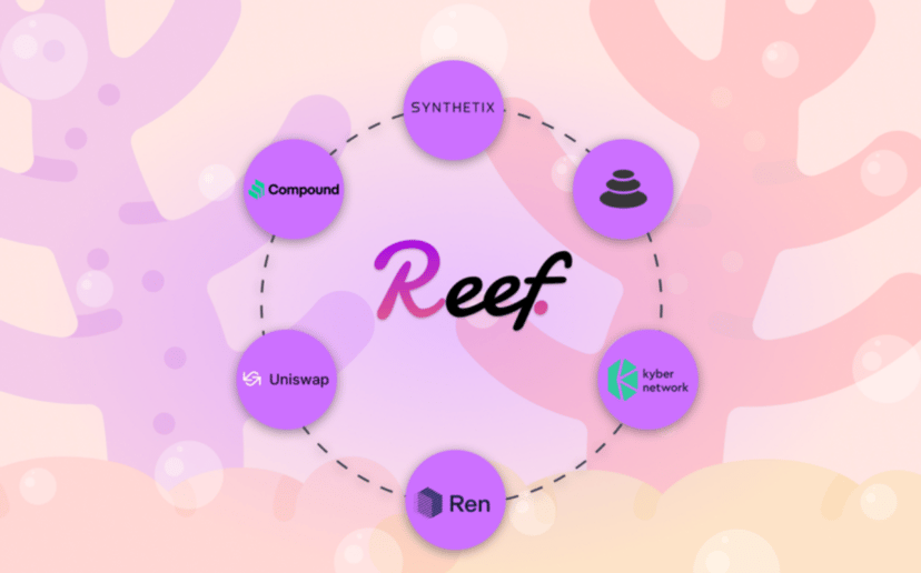 Reef Finance 