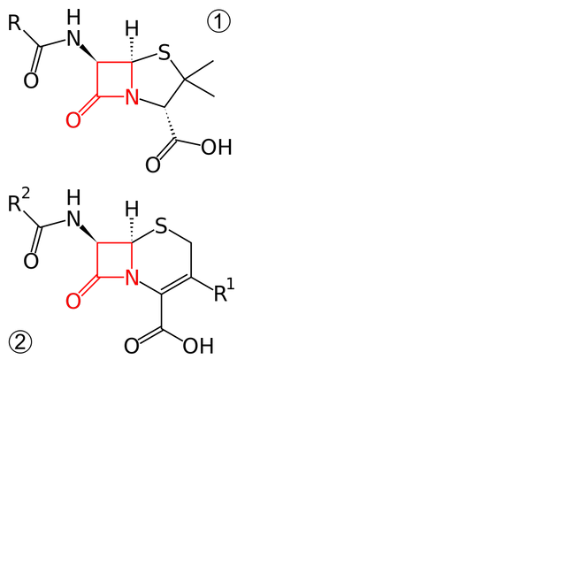 β-lactam antibiotic