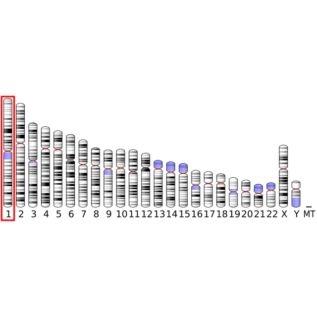 11β-hydroxysteroid dehydrogenase type 1