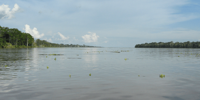 Amazon River