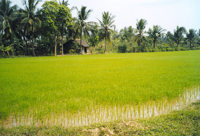 Bến Tre Province