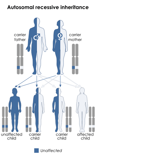 Bernard–Soulier syndrome