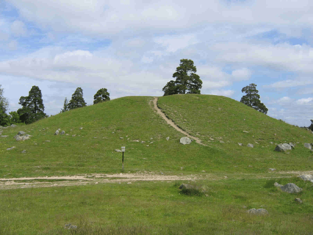 Björn at Haugi