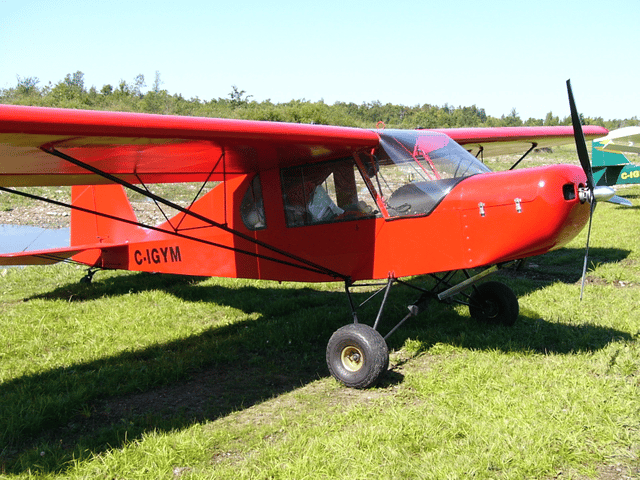 Buzzman L'il Buzzard