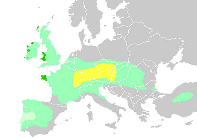 Celtic languages