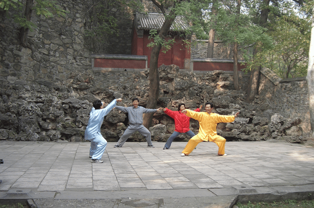Chen-style t'ai chi ch'uan