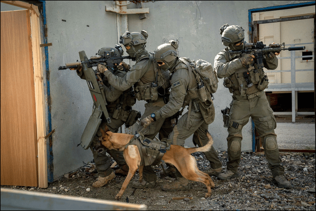 Counter-terrorism