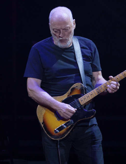 David Gilmour