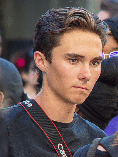 David Hogg (activist)