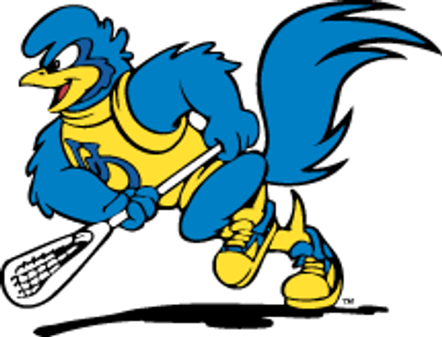 Delaware Fightin' Blue Hens men's lacrosse